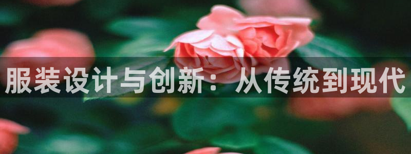 意昂体育3是干嘛的公司
