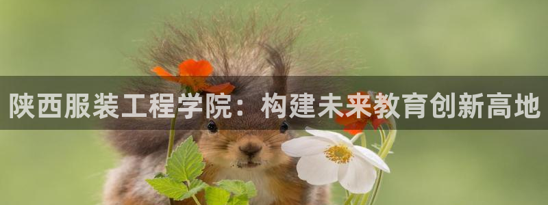 意昂体育3娱乐