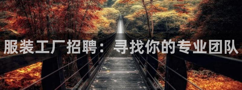 意昂体育3平台APP