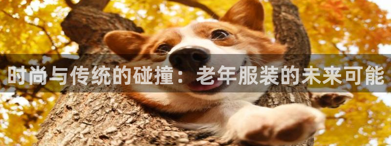 意昂体育3平台APP