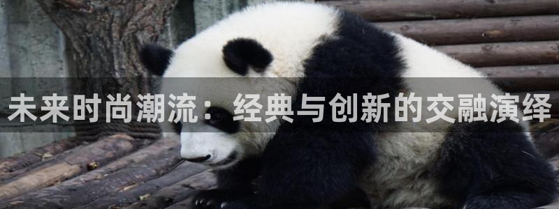 意昂体育3招商电话是多少啊