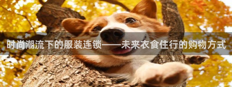 海南意昂体育3
