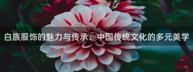 德国意昂3集团