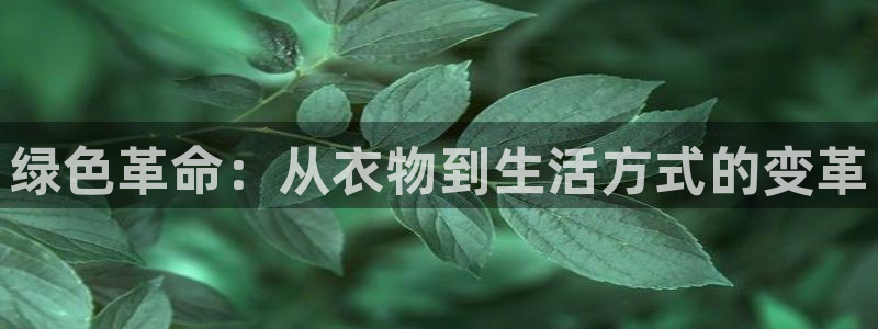 意昂3集团logo