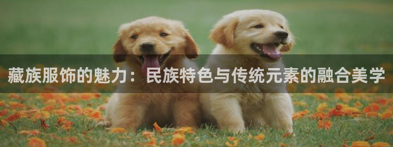 意昂体育3平台注册流程视频