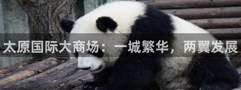 意昂体育3开户