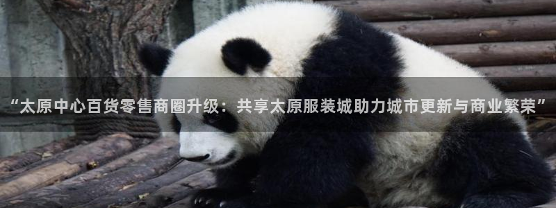 意昂体育3招商电话地址是多少