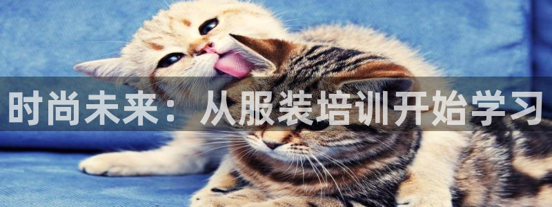 意昂3娱乐网站