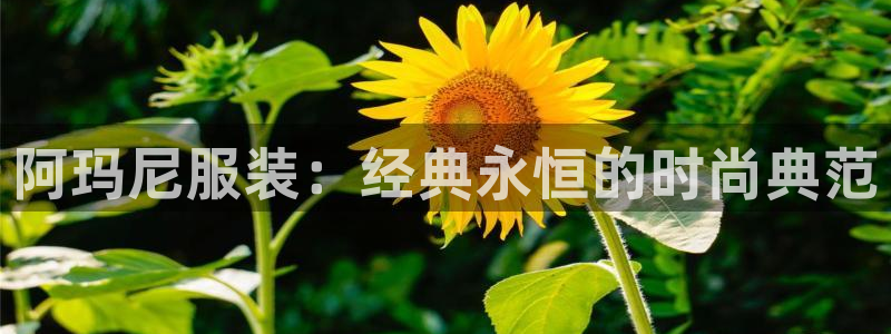 意昂3娱乐是那个系列的台子