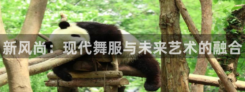 意昂3娱乐平台