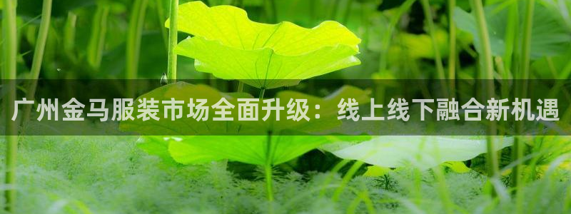 意昂体育3是干嘛的公司