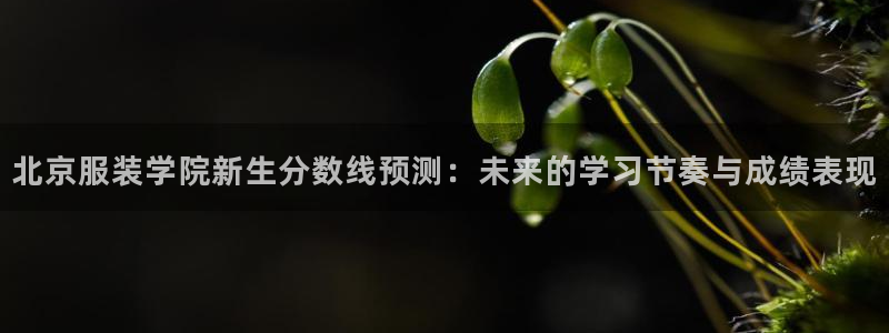 意昂体育3平台注册