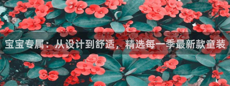 意昂3新能源