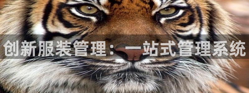 意昂3官网