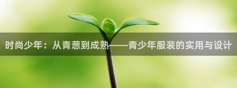 意昂体育3是干嘛的公司