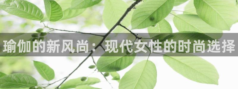 意昂3娱乐首页网站大全