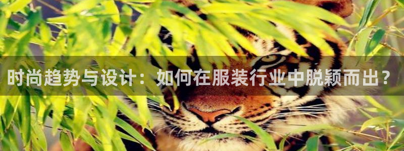 意昂体育3招商电话号码查询是多少