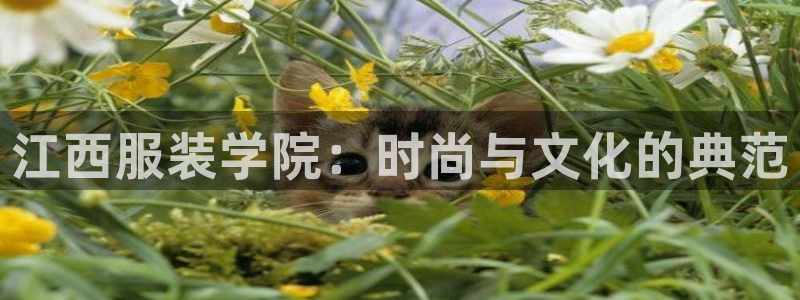 意昂3集团