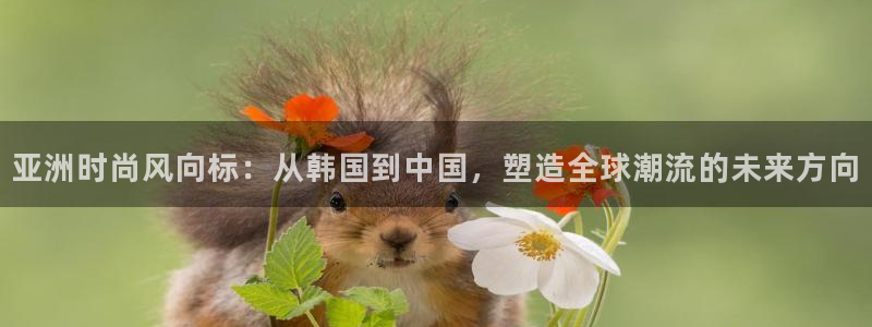 意昂体育3招商