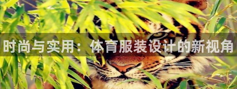 意昂体育3开户