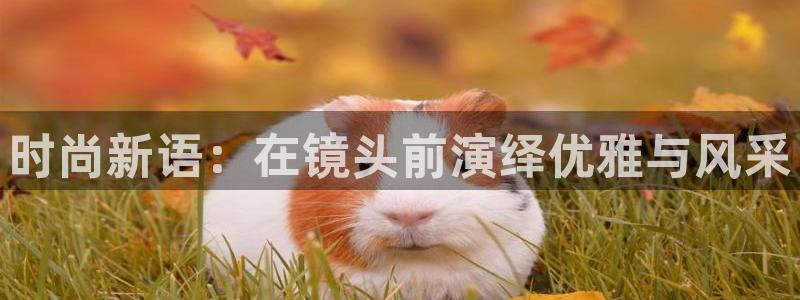 意昂体育3招商电话号码