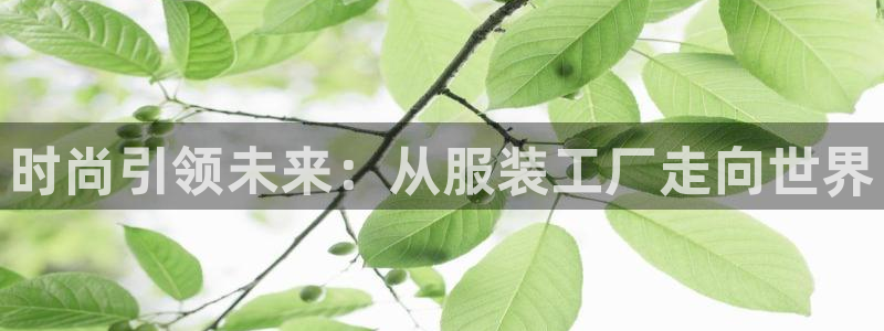 意昂体育3软件