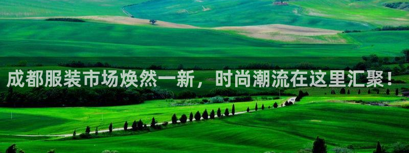 意昂体育3是干嘛的公司