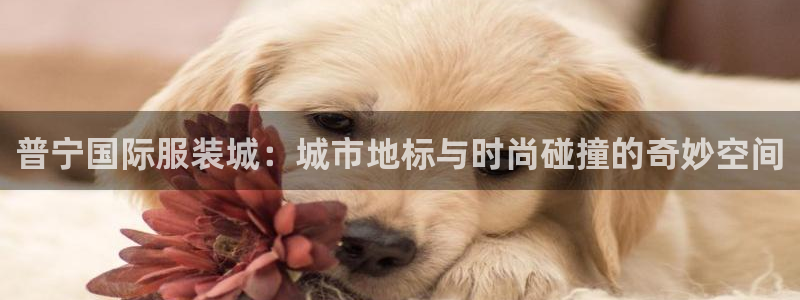 德国意昂3集团