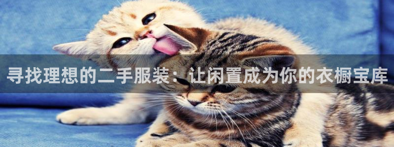意昂3娱乐代理怎么样