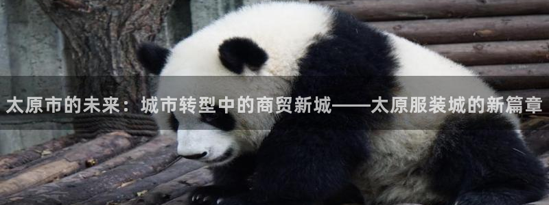 海南意昂体育3