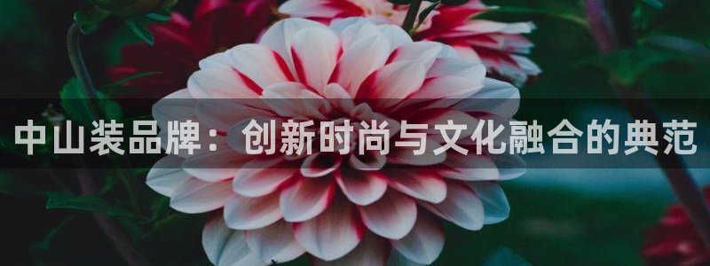 注册意昂3