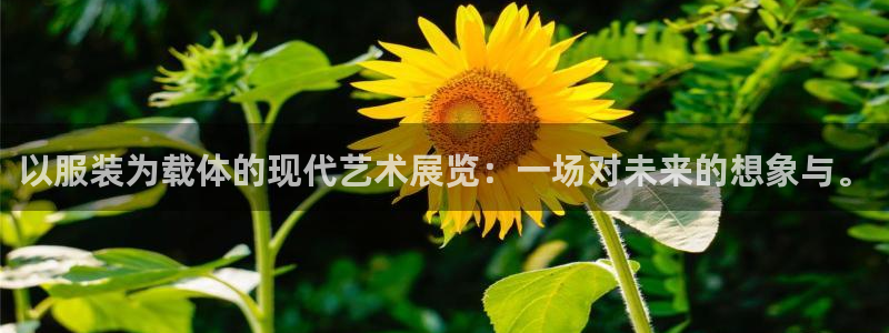 意昂3集团官网网址