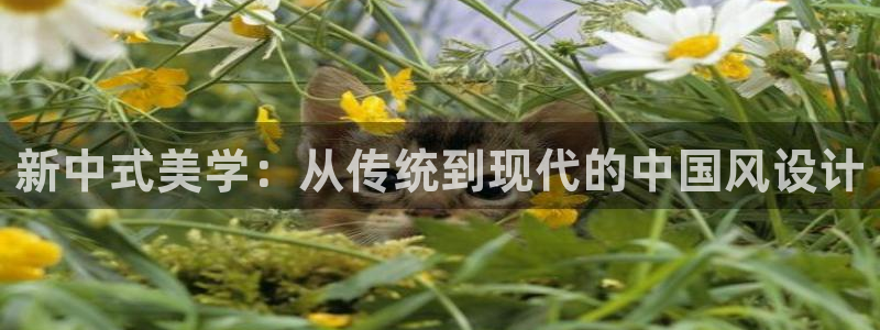 意昂体育3平台注册流程视频