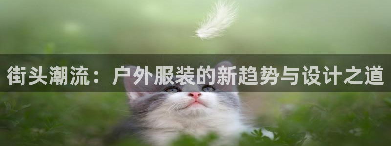 意昂体育3平台假的吗是真的吗