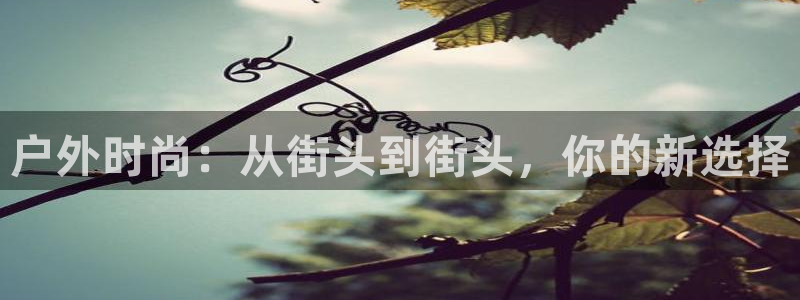 意昂3娱乐首页网站大全