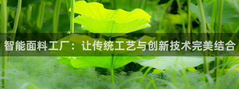 意昂体育3平台注册要钱吗