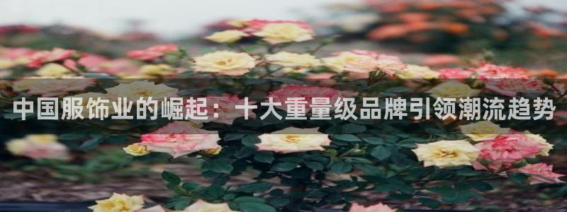 意昂体育3联系电话：中国服饰业的崛起：十